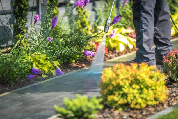 Best Fence Cleaning  in Ambridge, PA