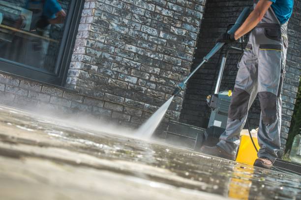 Best Roof Washing  in Ambridge, PA