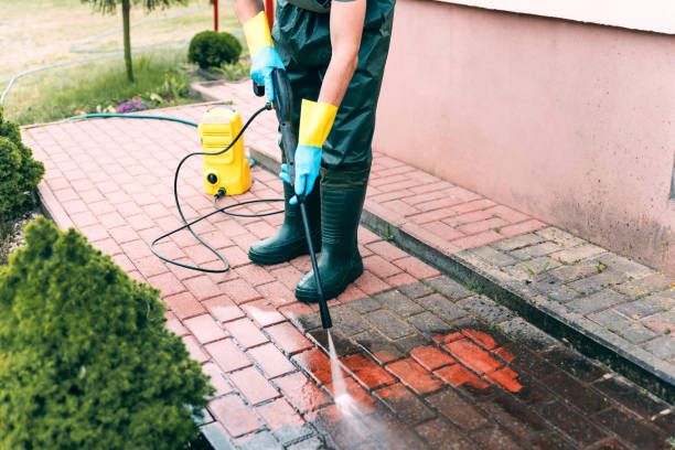 Best Solar Panel Cleaning  in Ambridge, PA