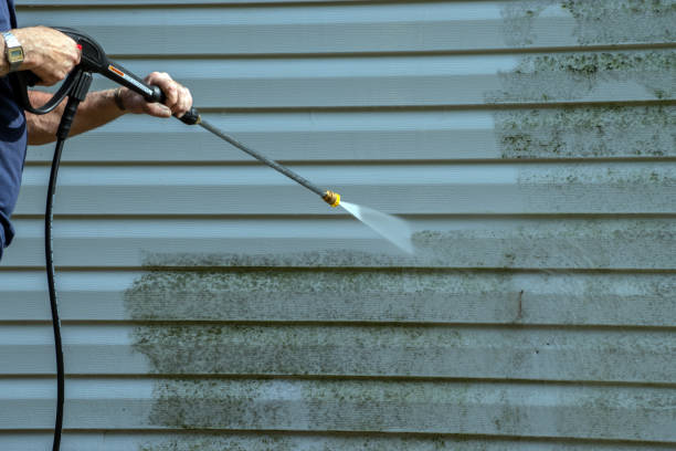 Best Sidewalk and Walkway Cleaning  in Ambridge, PA