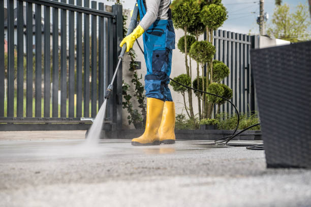 Best Gutter Cleaning  in Ambridge, PA